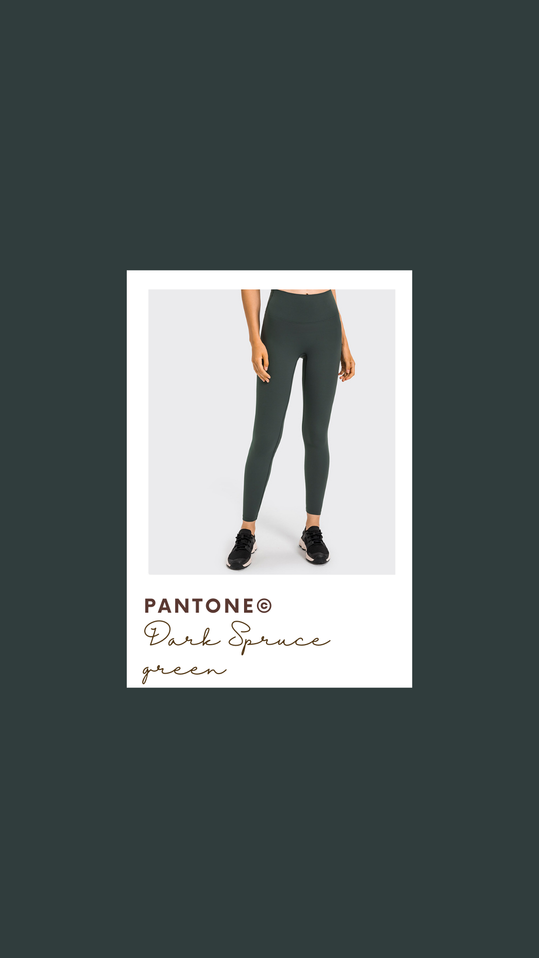 High Rise Leggings