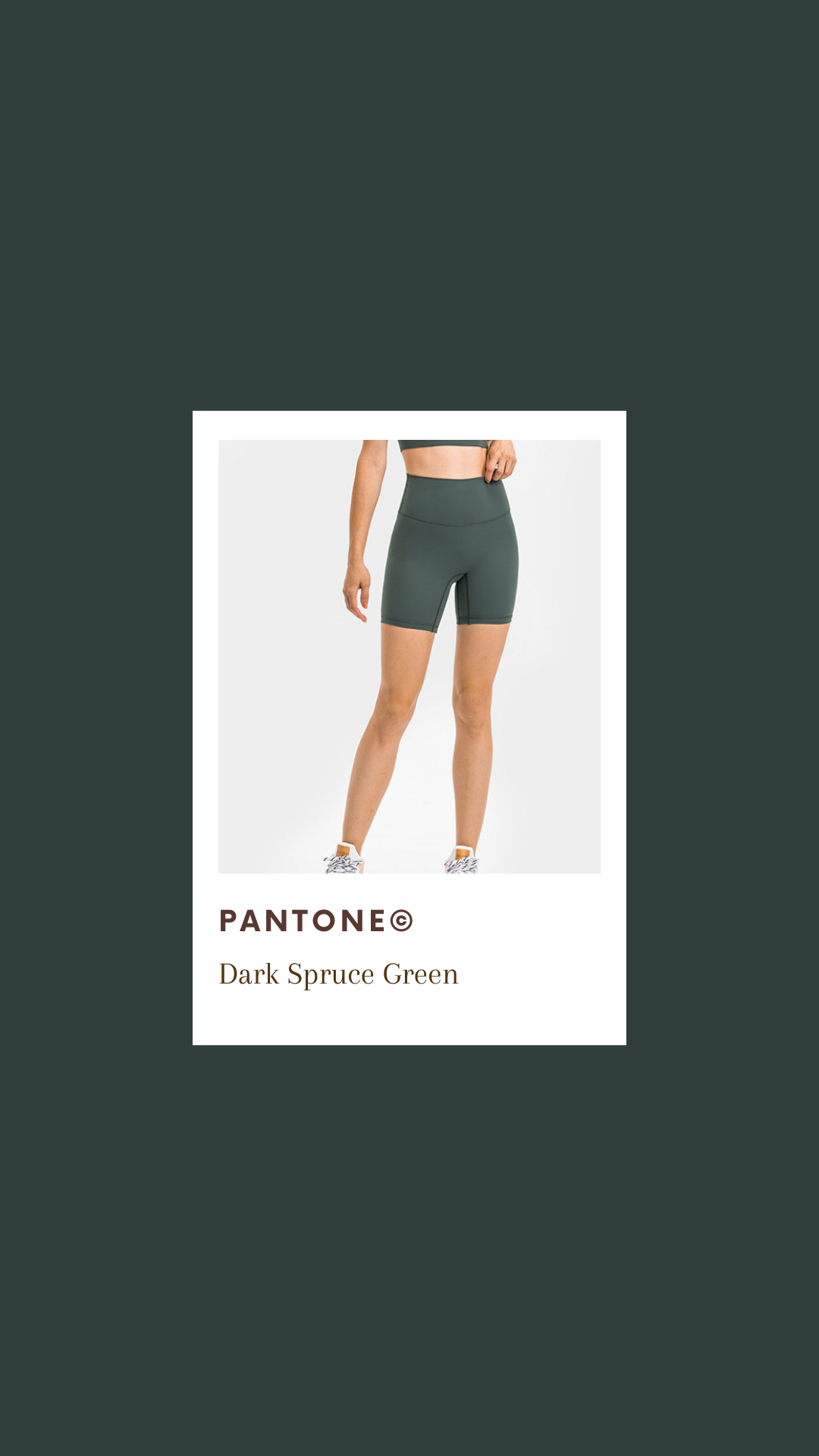 High Rise training shorts 4inch (pre order)